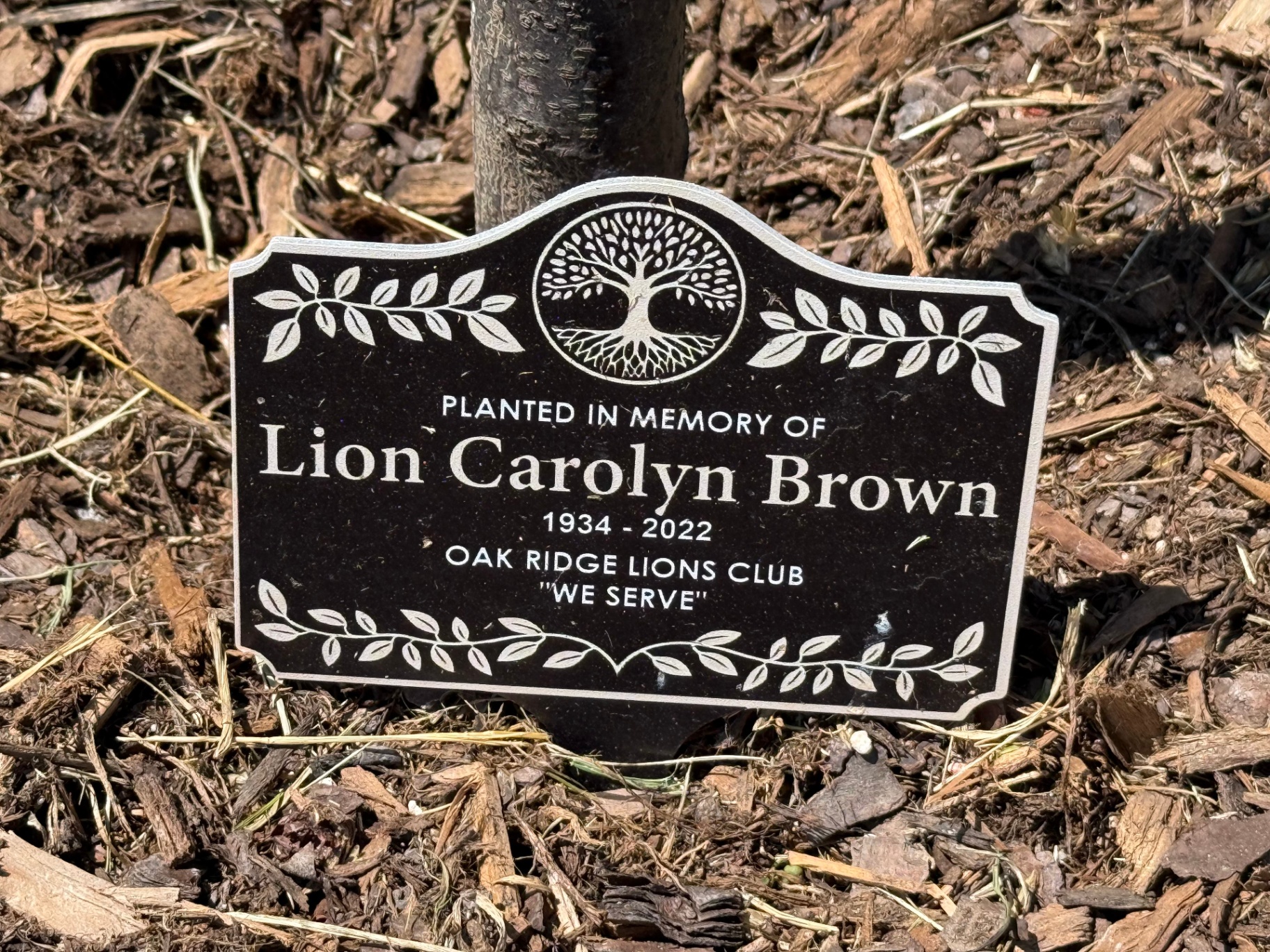 Planted in memory of Lion Carolyn Brown (1934 to 2022)