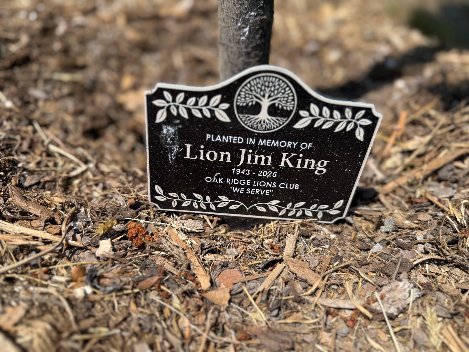 Planted in memory of Lion Jim King (1943 to 2025)