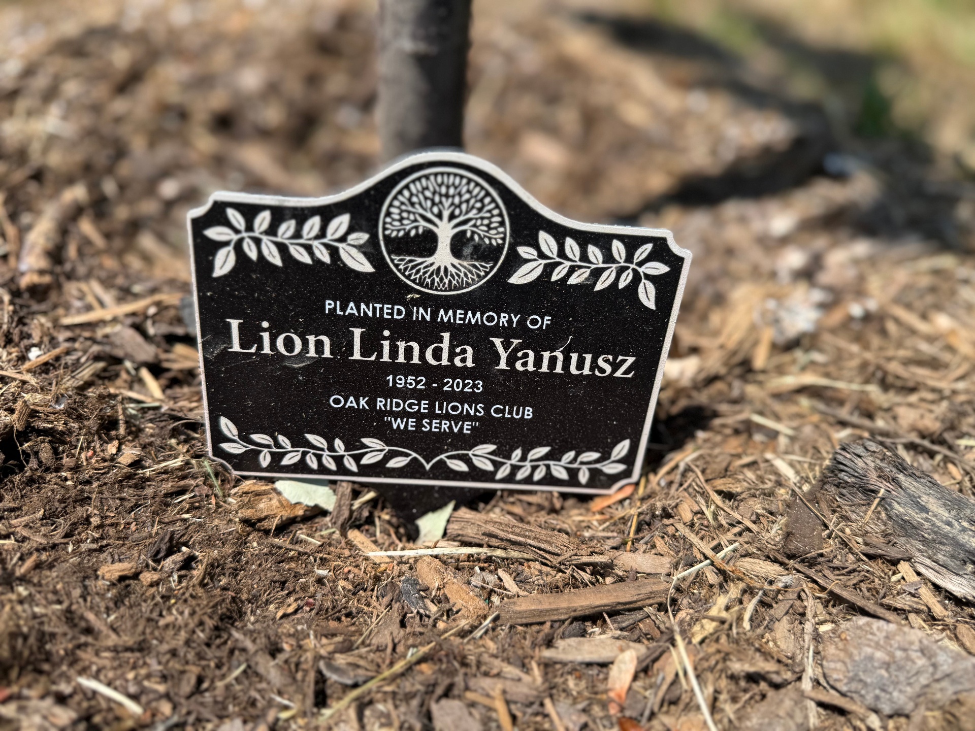 Planted in memory of Lion Linda Yanusz (1952 to 2023)